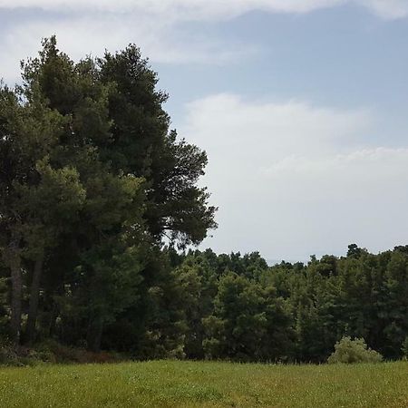 Villa Sugarella 希维利 外观 照片