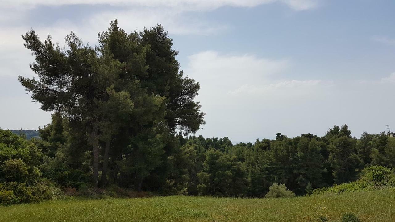 Villa Sugarella 希维利 外观 照片